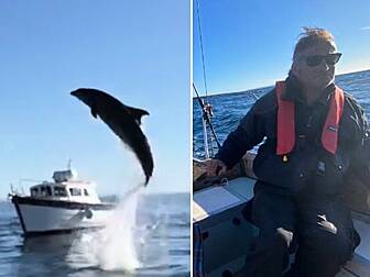 Galway Man Captures Video Of F...